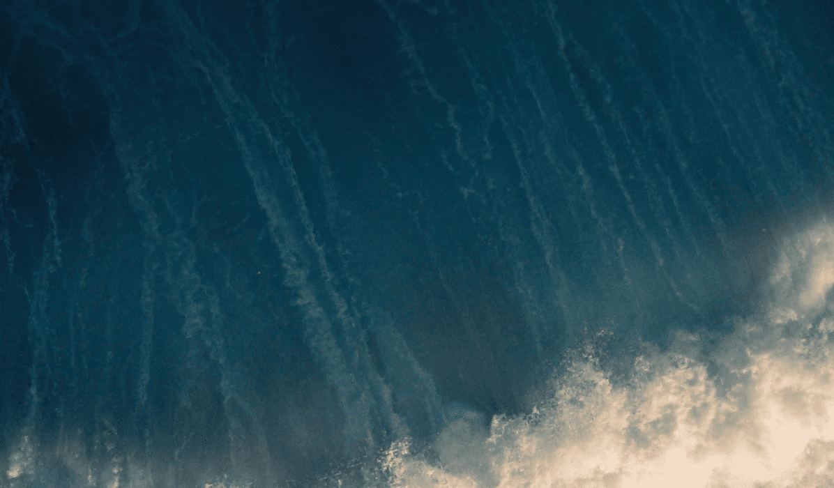 Reveal Mobile Achieves 200% ROI Through Precision Targeting